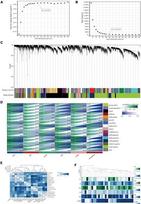 Preliminary exploration of the co-regulation of Alzheimer’s disease pathogenic genes by microRNAs and transcription factors